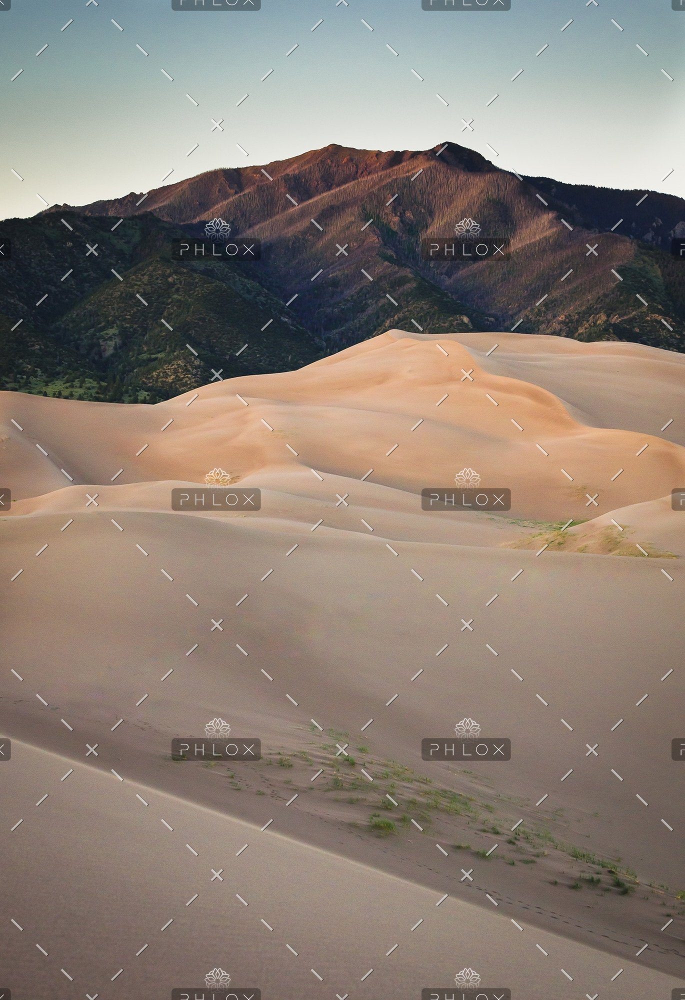 demo-attachment-47-andrew-gloor-576171-unsplash-1